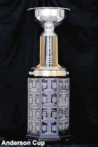 Anderson Cup