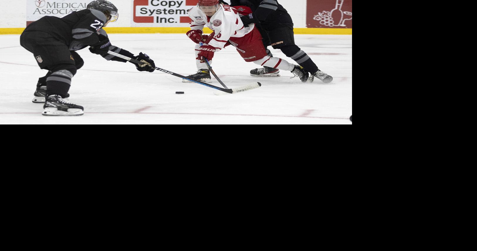 USHL Fighting Saints play East leaders in threegame weekend Local