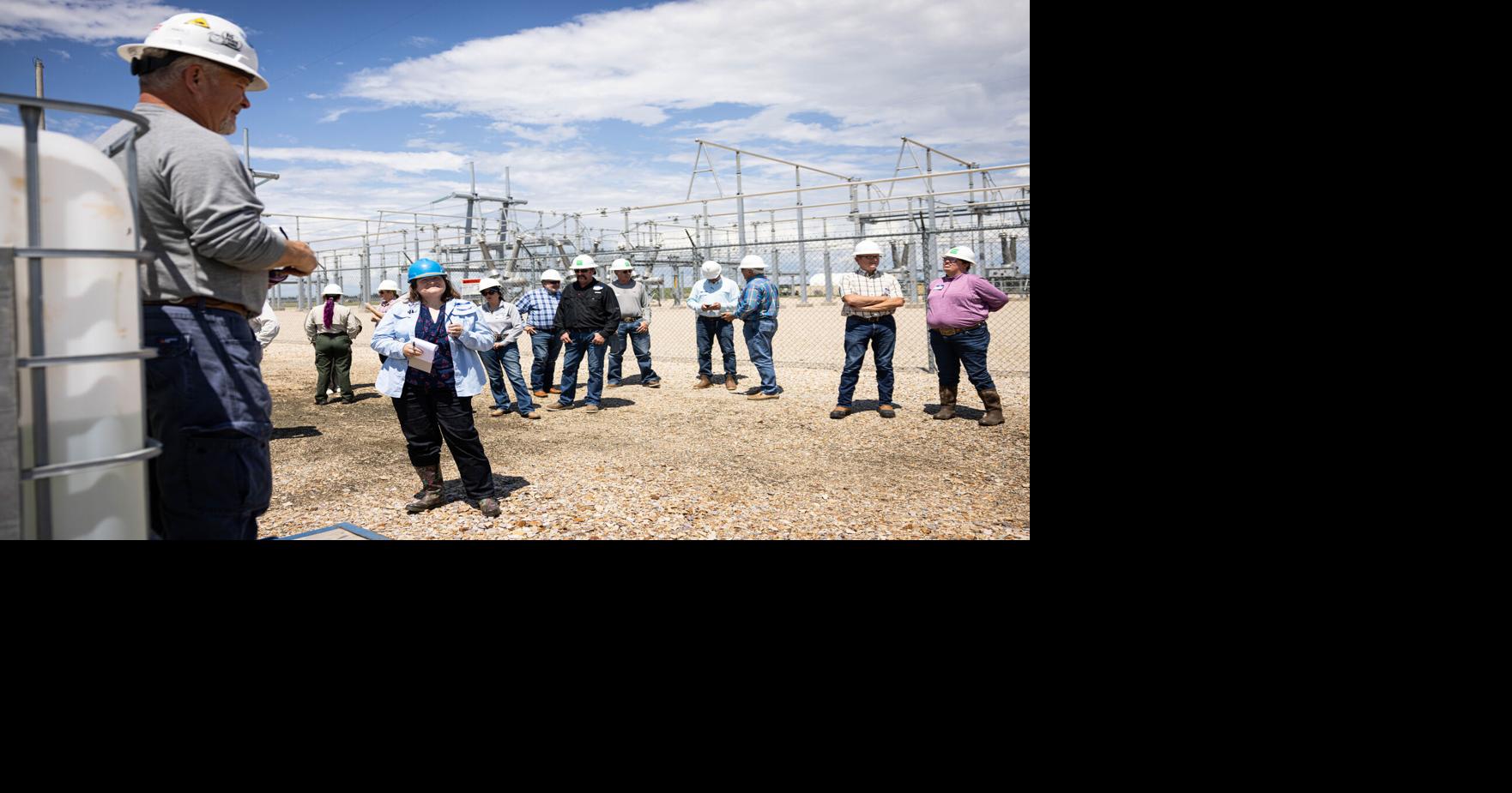 BIZ-FARM-SOLAR-SHEEP-FILEPIC-3-DA