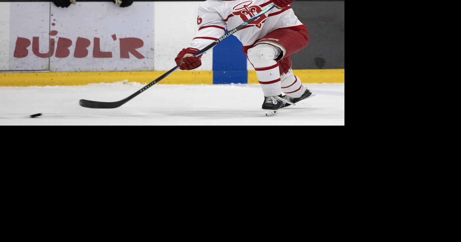 USHL: Fighting Saints duo invited to Buffalo Sabres' rookie camp