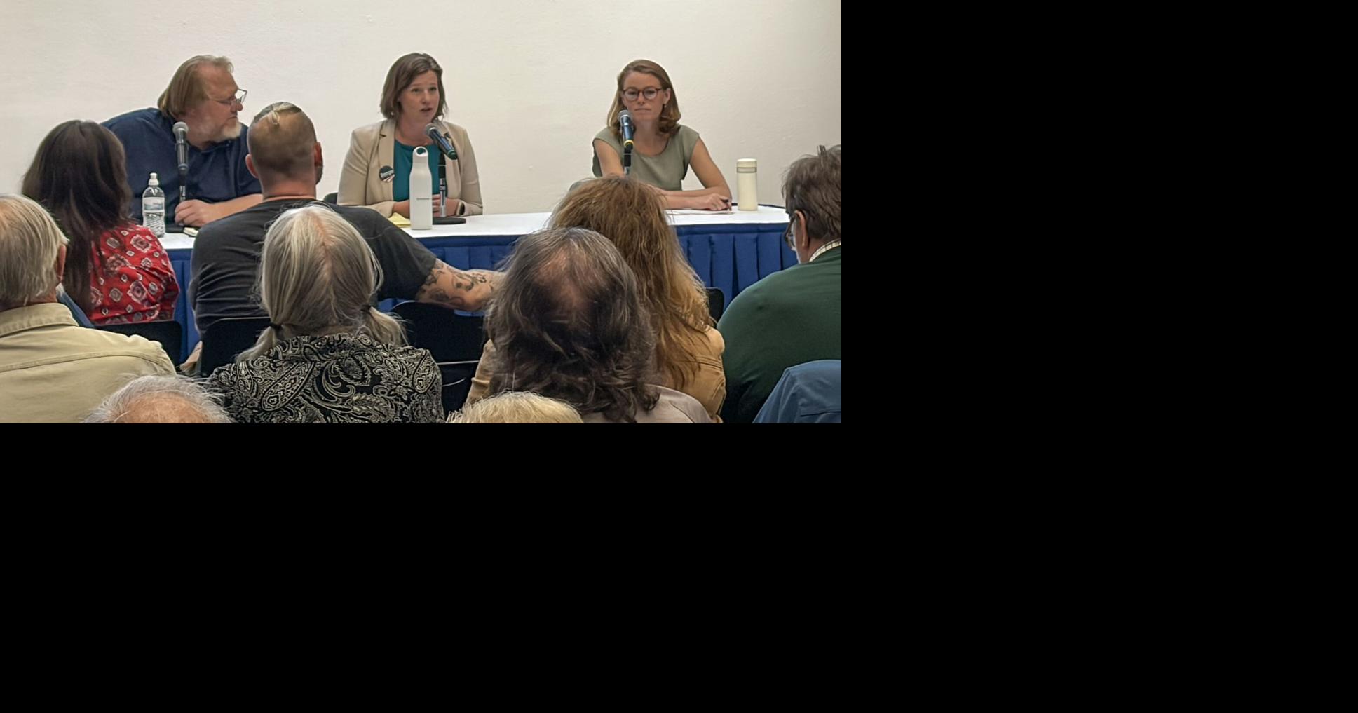 Democrats seeking Wisconsin congressional seats discuss key issues in Platteville