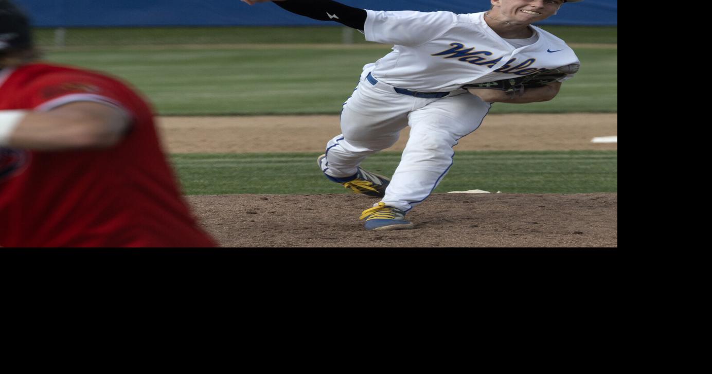Prep baseball: Young talent helps fuel WD, Wahlert state tournament runs