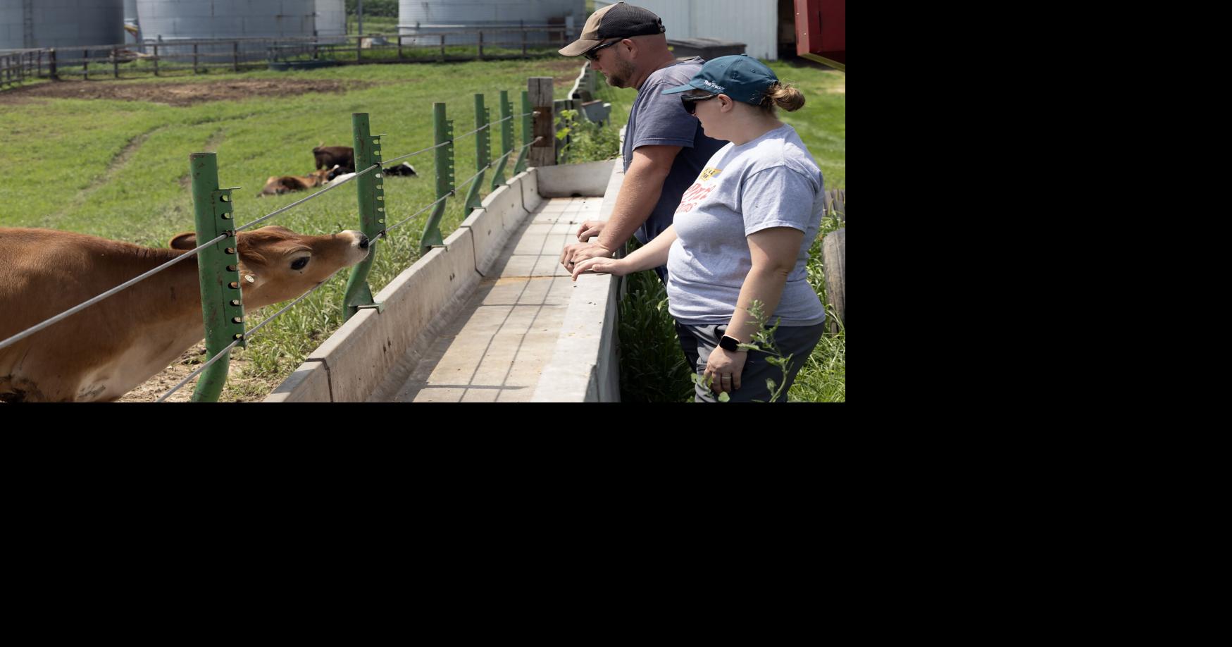 2 area farm families to be honored at Iowa State Fair | Tri-state News ...