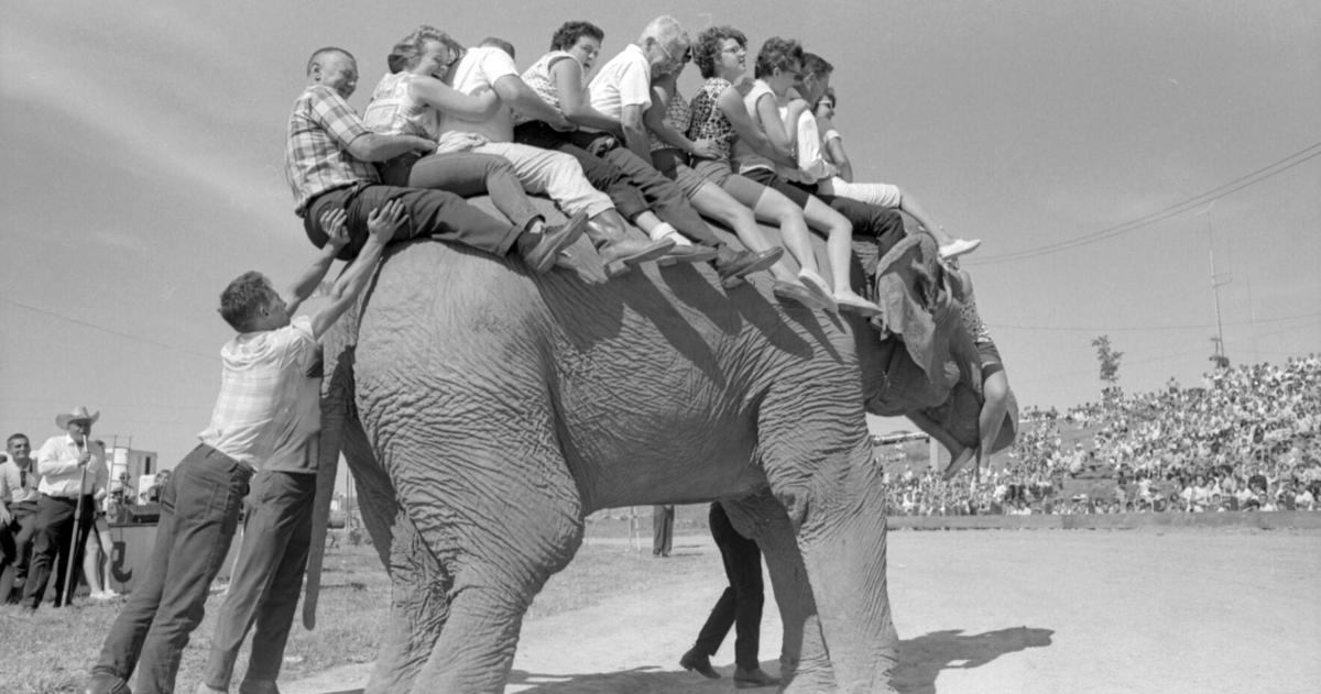 Flashback: 1966 Dubuque County Fair featured elephant rides, ostrich races