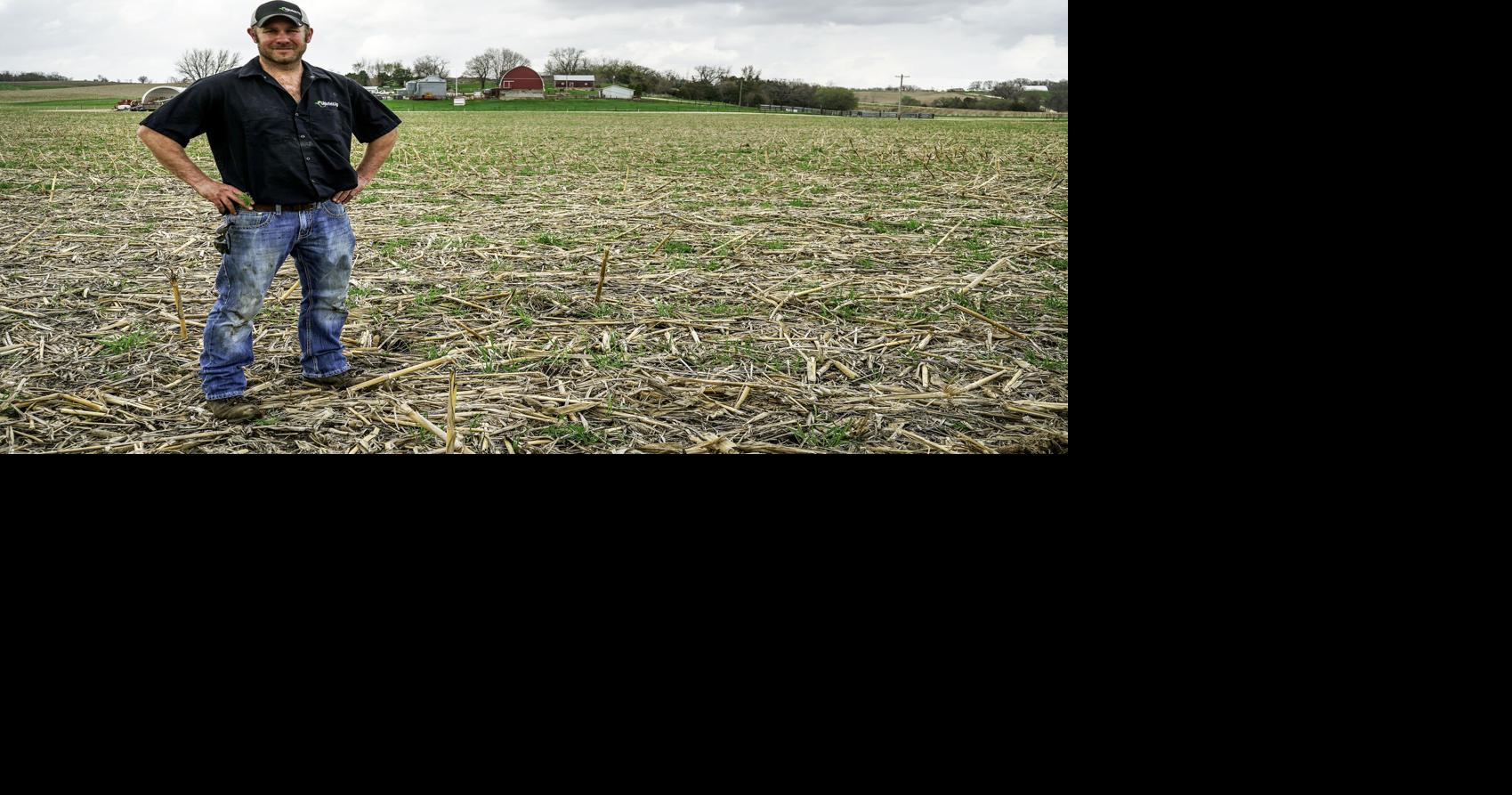 Farmers build resilience with diversification, innovation to weather inflationary storm
