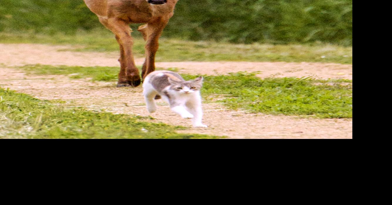Write the caption
