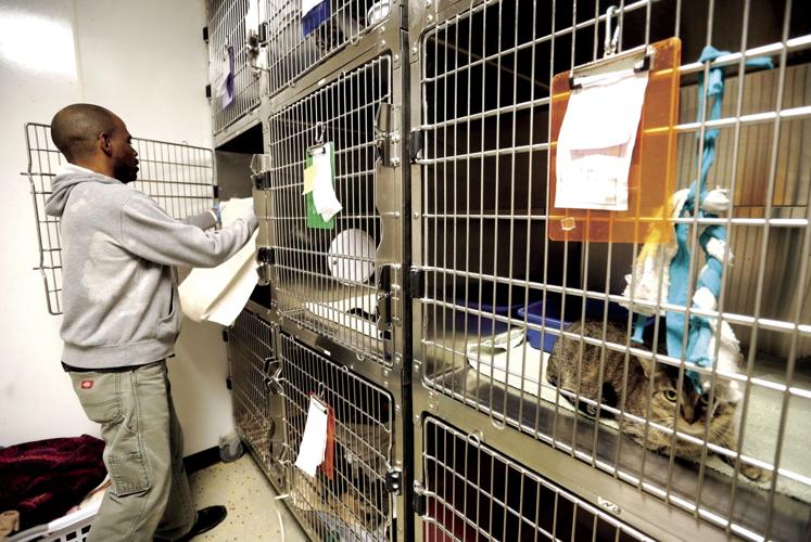 Dubuque Humane Society Jobs at Brenda Dickerman blog