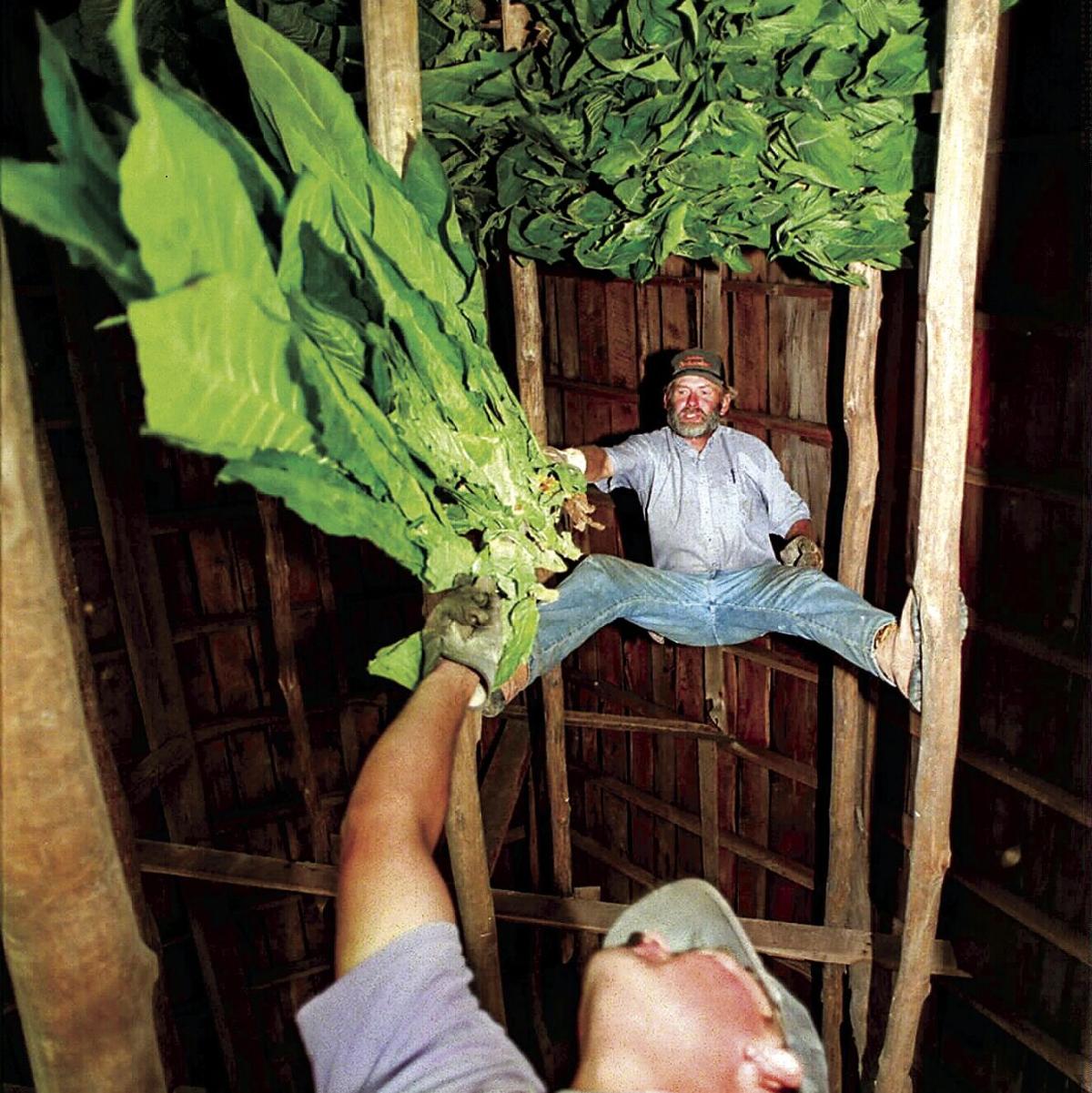 almassiva tobacco Al Massiva Ana Bahebak Tabak