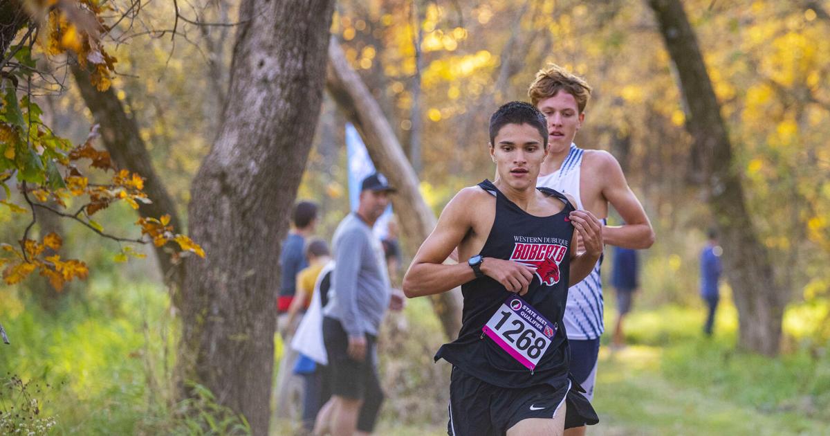 sue's blog again: running pl Images High Quality Grahic Boys prep cross country: Nauman again running out front among 3A boys ...