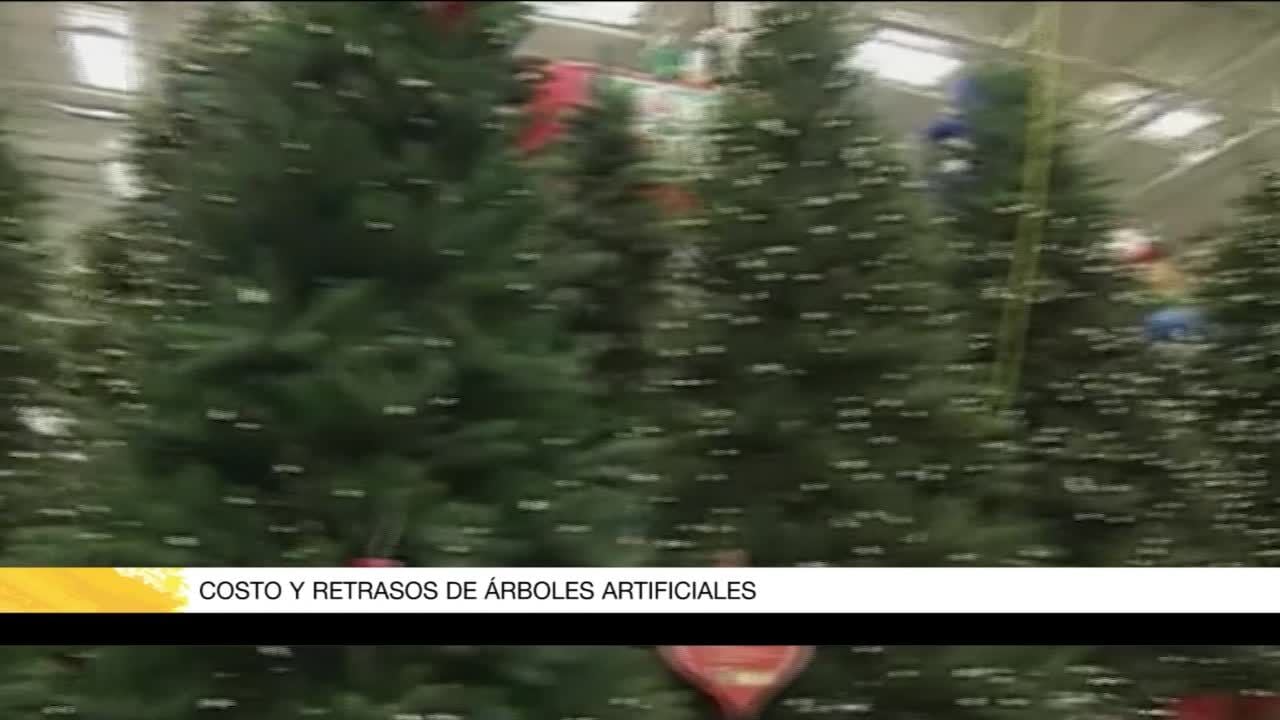 Jo, jo, jo! Tipos y precios de árboles de Navidad 2022 – El Financiero