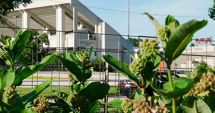 Tips for sustainable living at Missouri State