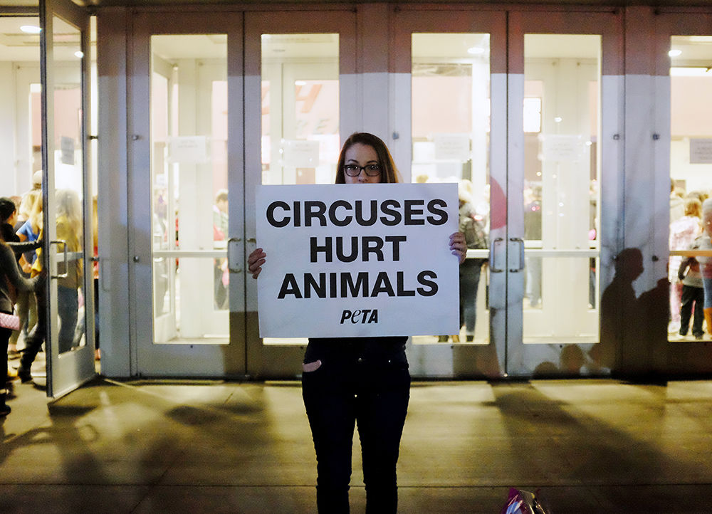 Animal Rights Signs