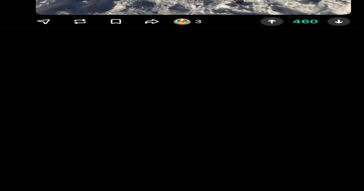 Opinion: Missouri State leaders said campus was clear. Was it?