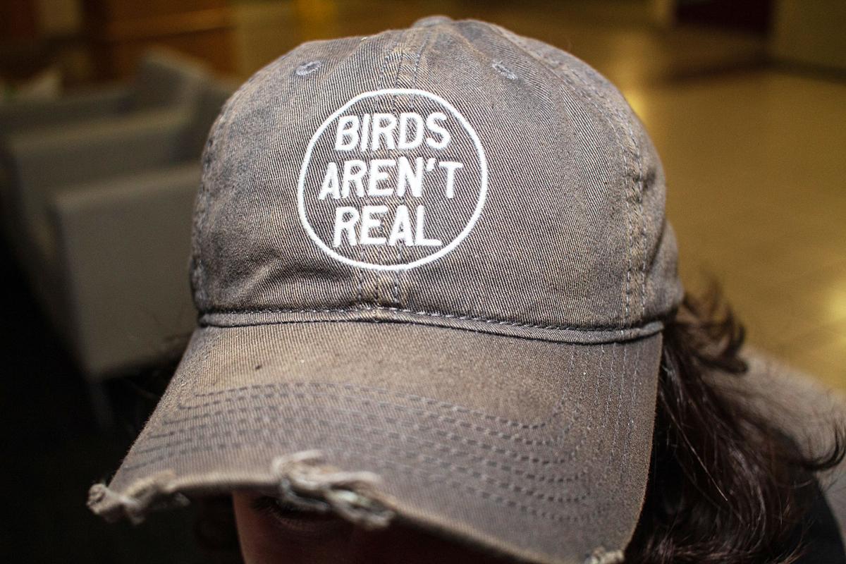 ‘Bird watching goes both ways’ | Life | the-standard.org