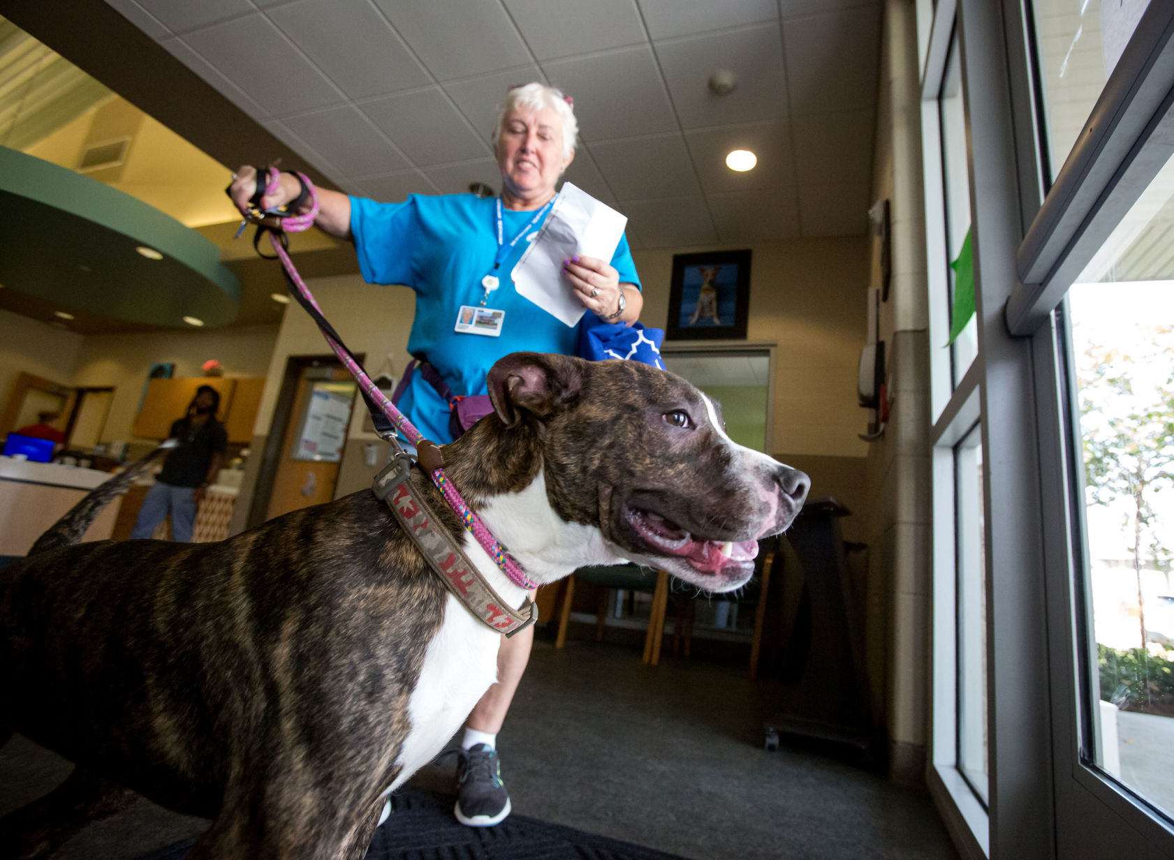 Jefferson Shelter Pushes Hard To Find 'forever' Homes For Its Animals ...