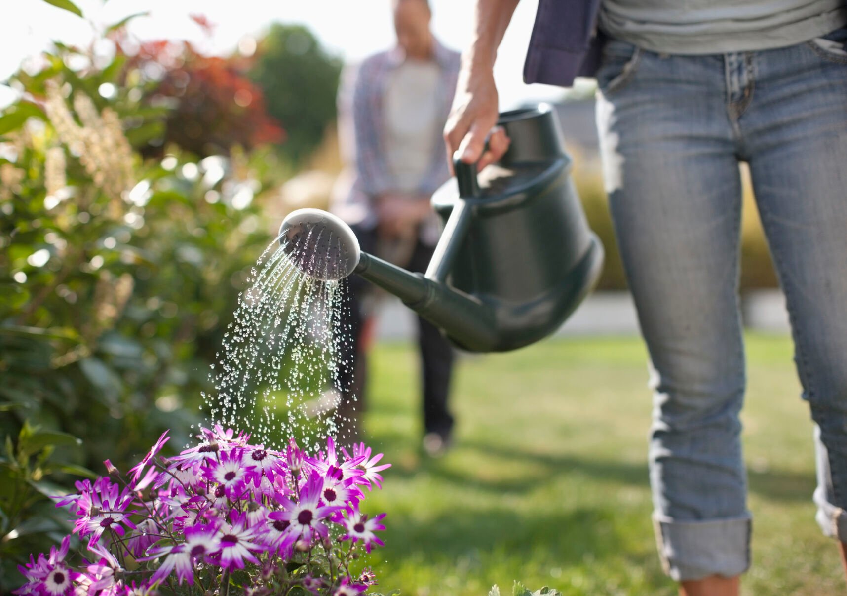 Everything you need to know about watering outdoor plants in the