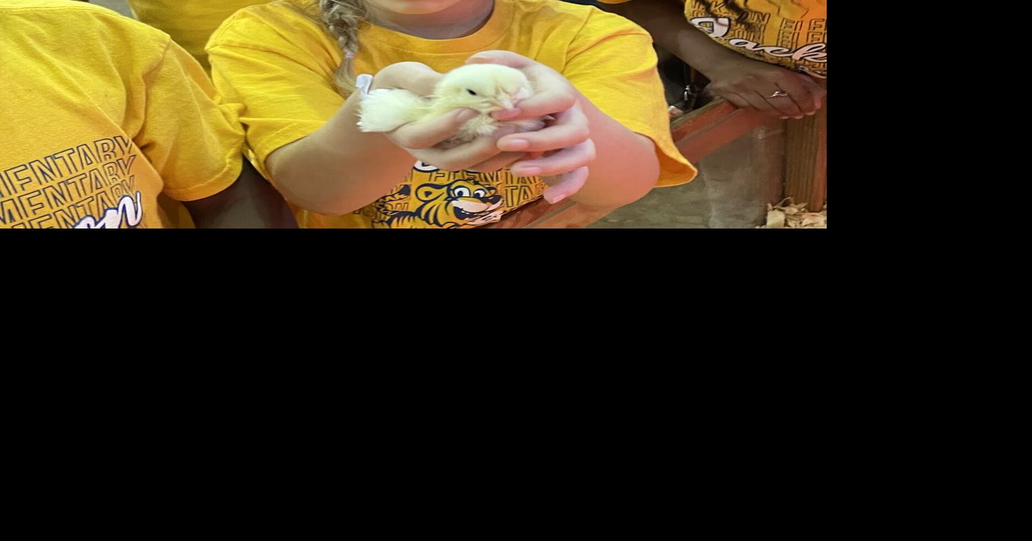 Jackson Elementary School students visit AgMagic | East Feliciana ...