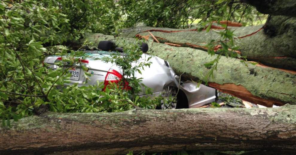 Man escapes death, barely, after tree falls on car during Baton Rouge ...