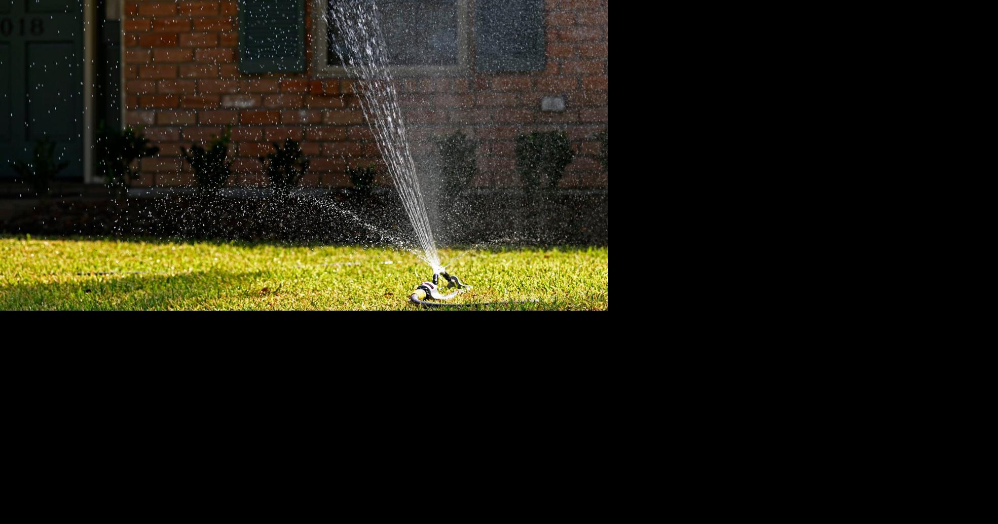 There are only so many summers in this life. Here's my plan to enjoy the time in Louisiana.