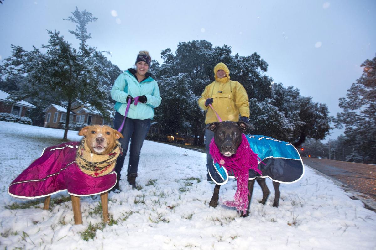 BR.snow137.120917.jpg