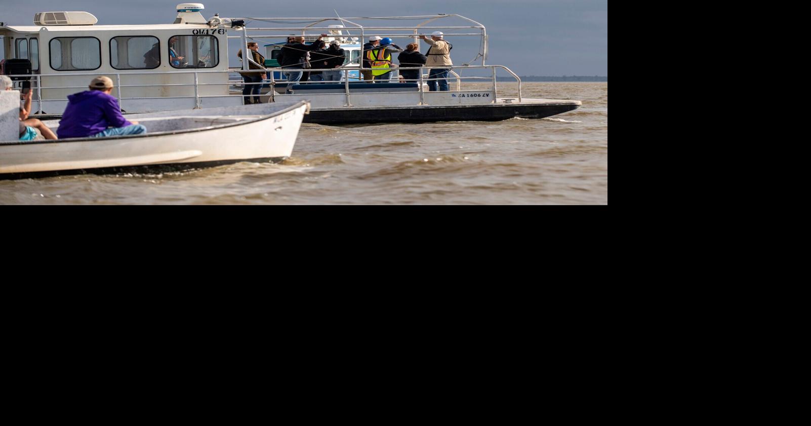 Louisiana plant's carbon capture project aims to limit emissions. Will it emit more than planned?