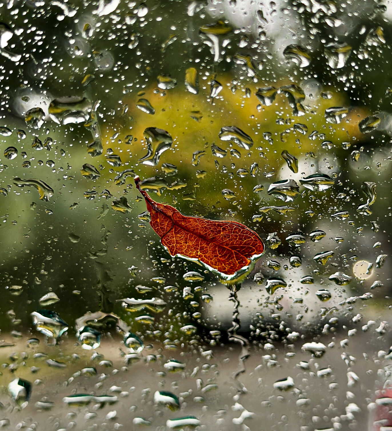 Thanksgiving Weather Forecast For New Orleans And Louisiana | Weather ...