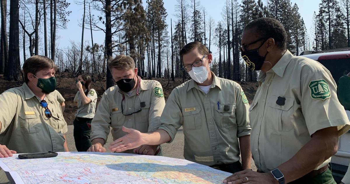 Joe Rouche Usfs He's in charge of the U.S. Forest Service. Here's how Southern ...