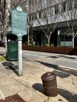 Summer Salon Cannon 8