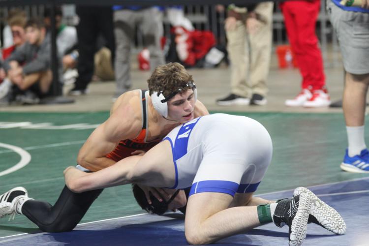 Meet The Advocate's 2023 Baton Rouge Area AllMetro Wrestling team