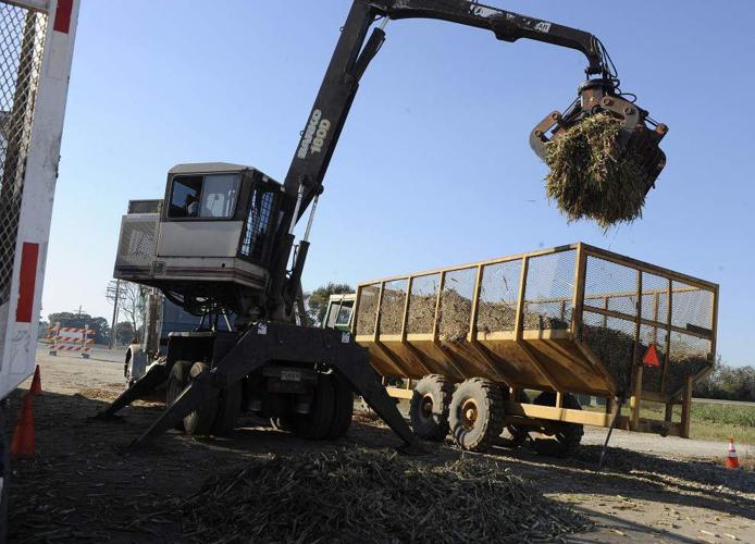 Census report Lafayette sixth largest parish in state and fourth