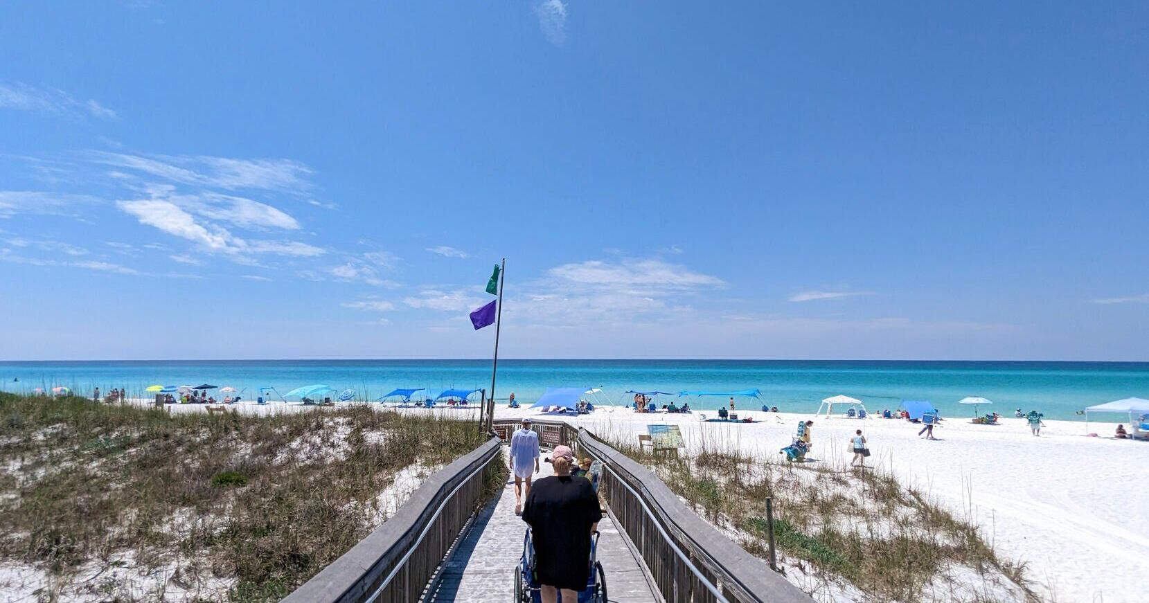 Ocean temperatures, humidity on the rise in Florida | Environment - Vimarsana News