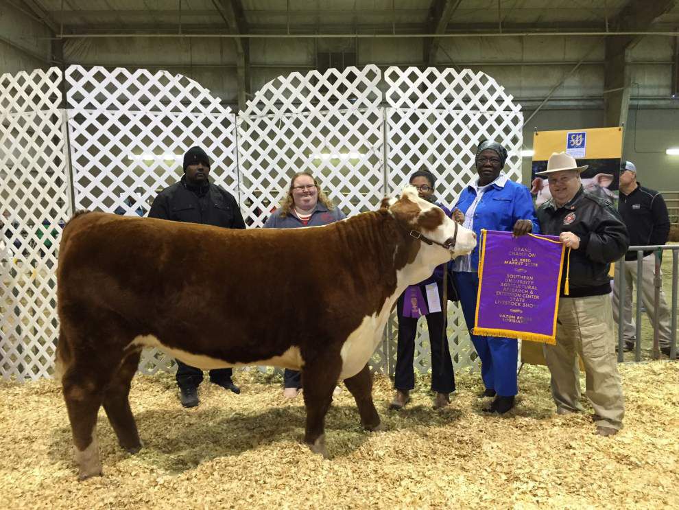 Exhibitors Compete In Southern Livestock Show | Communities ...