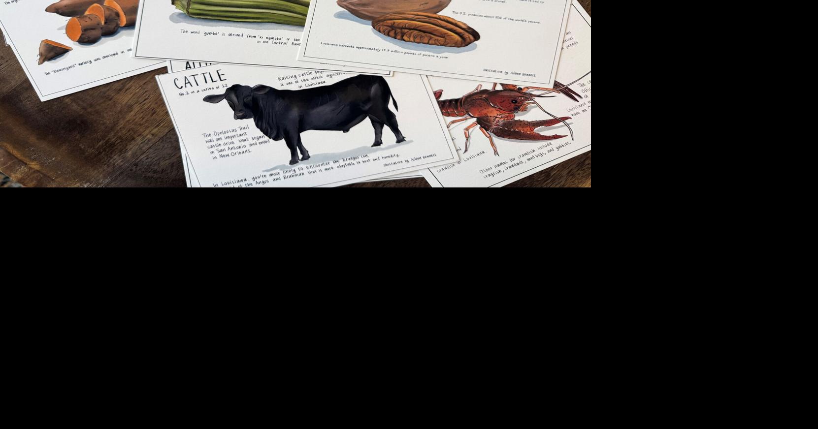 From pecans to crawfish: New postcards by Lafayette artist reveal surprising Louisiana food facts