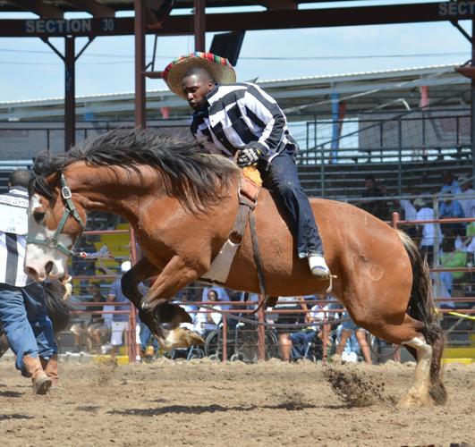 Guts and glory | | theadvocate.com