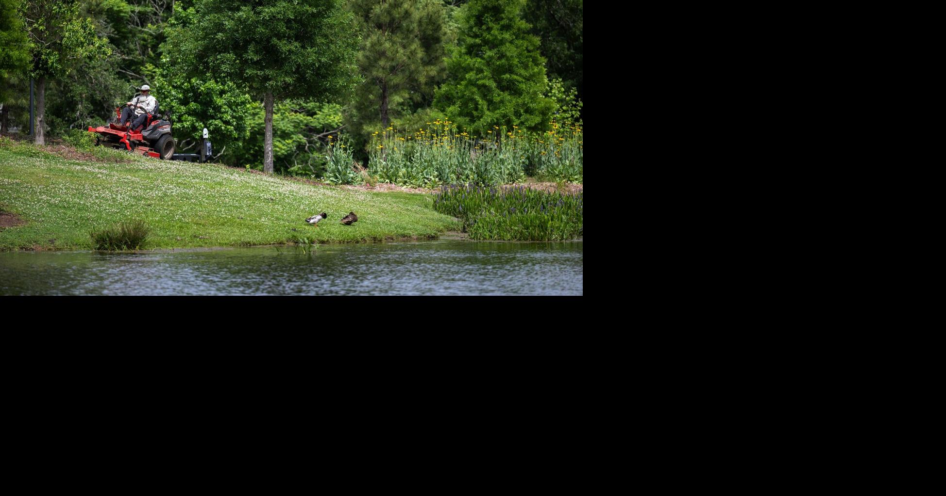Grass faces new challenges in the fall. Dan Gill explains how to keep it healthy as growth slows.