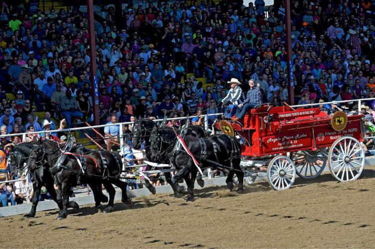 Photos Angola Prison Rodeo Celebrates 50th Anniversary News