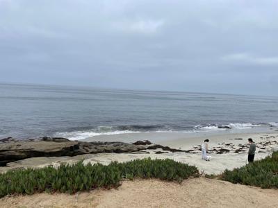 La Jolla beach