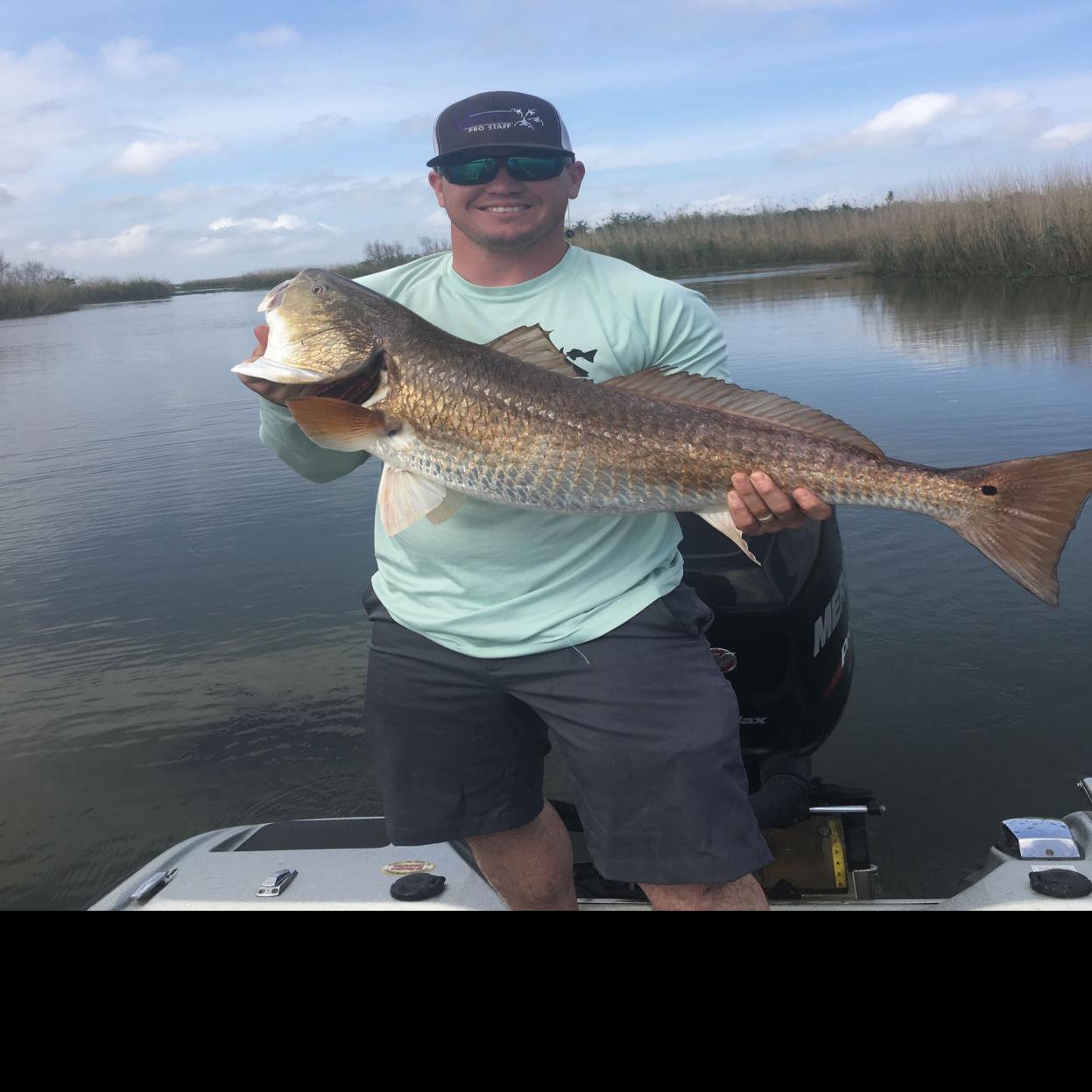 Delta Duck big on redfish, bass, Louisiana Outdoors