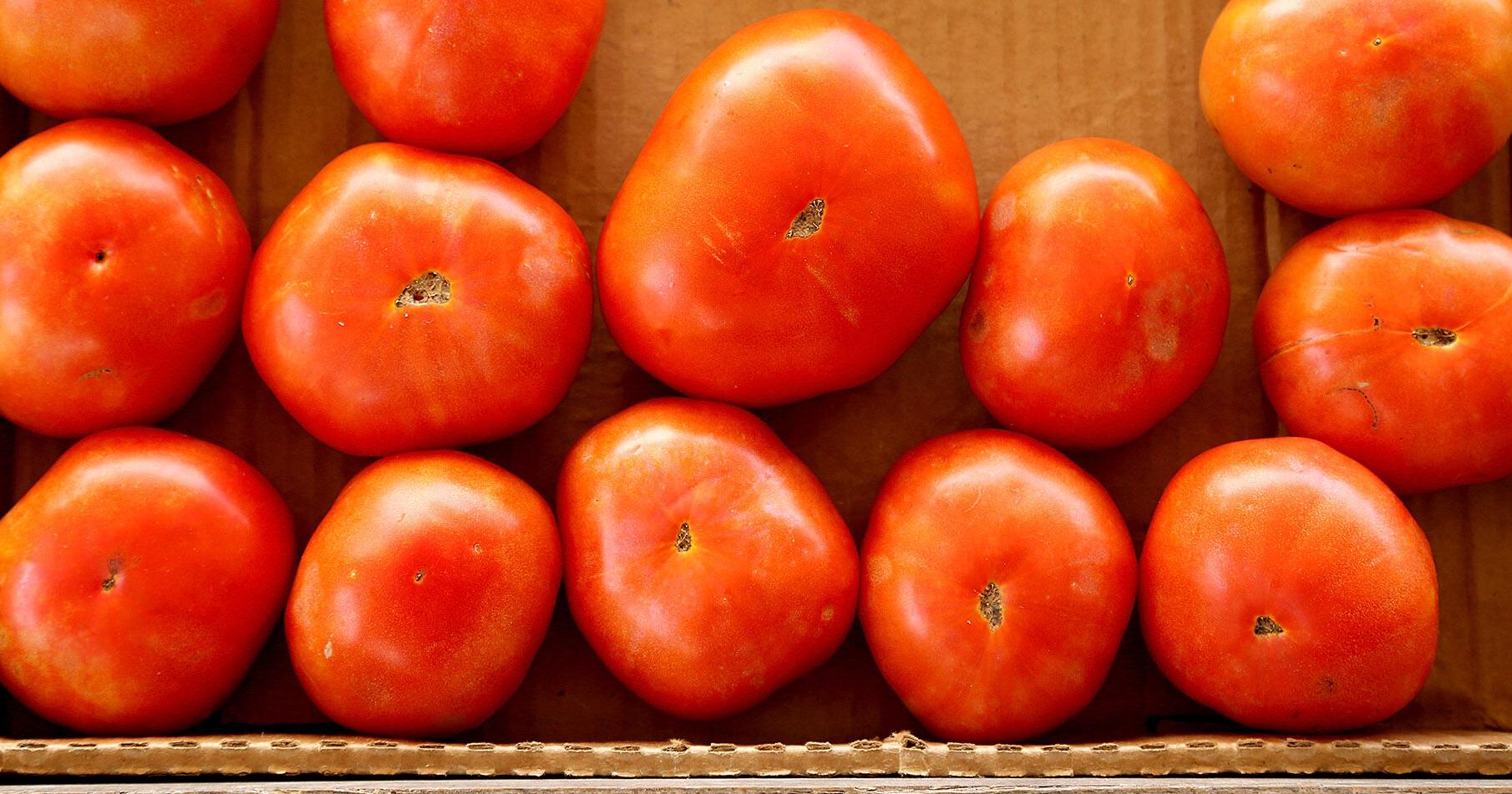 Food events around Baton Rouge June 14 to 21 | Entertainment/Life - Vimarsana News