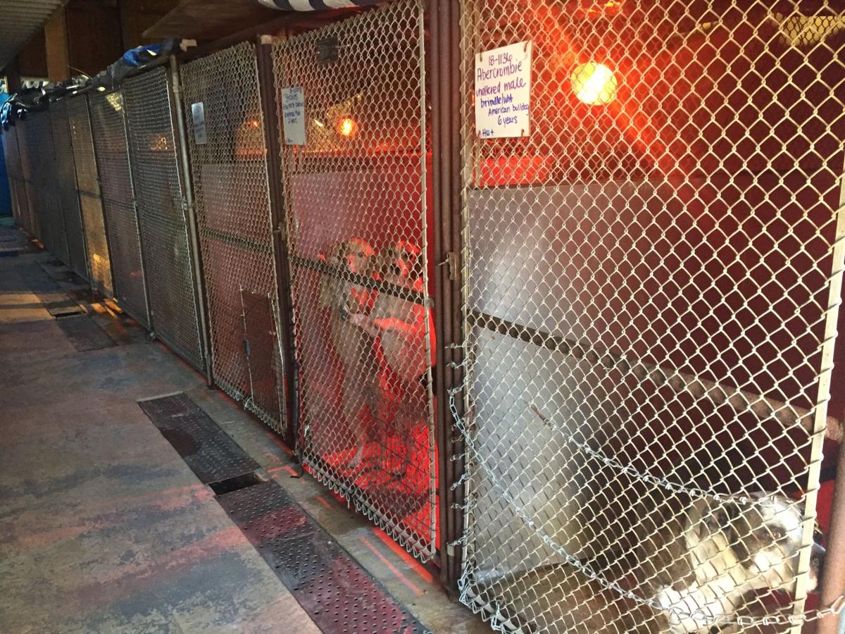 Proposed Tax For Ascension Animal Shelter On Dec 8 Ballot