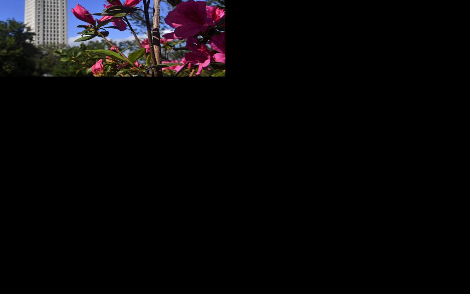 Asset-image