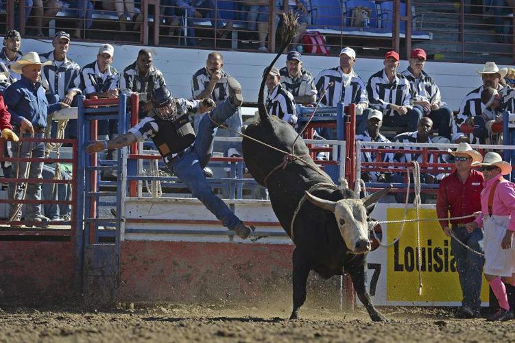 Photos: Angola Prison Rodeo Celebrates 50th Anniversary | News ...