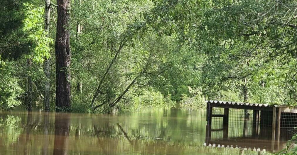 Mississippi mom drowns after flash flooding engulfs her SUV on busy street, reports say