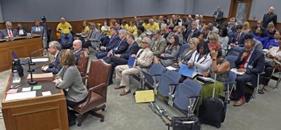 budget0306.061317 bf