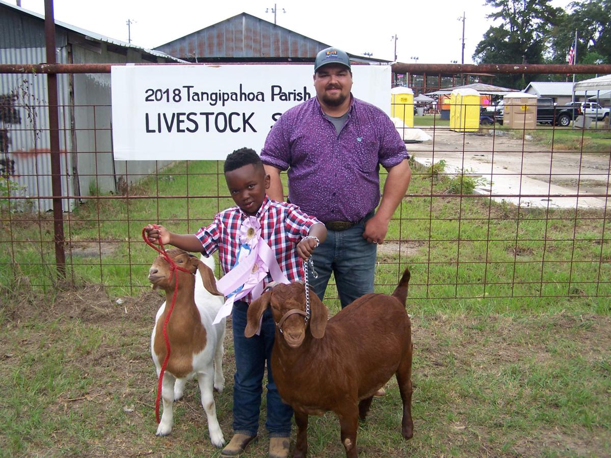 Tangipahoa Parish Fair Livestock Show winners announced Livingston