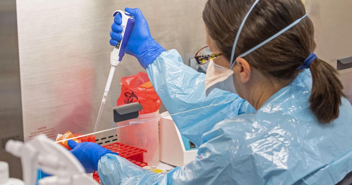 A new COVID strain was discovered in Louisiana. Here’s how LSU found the first 4 patients. A new COVID strain was discovered in Louisiana. Here’s how LSU found the first 4 patients.