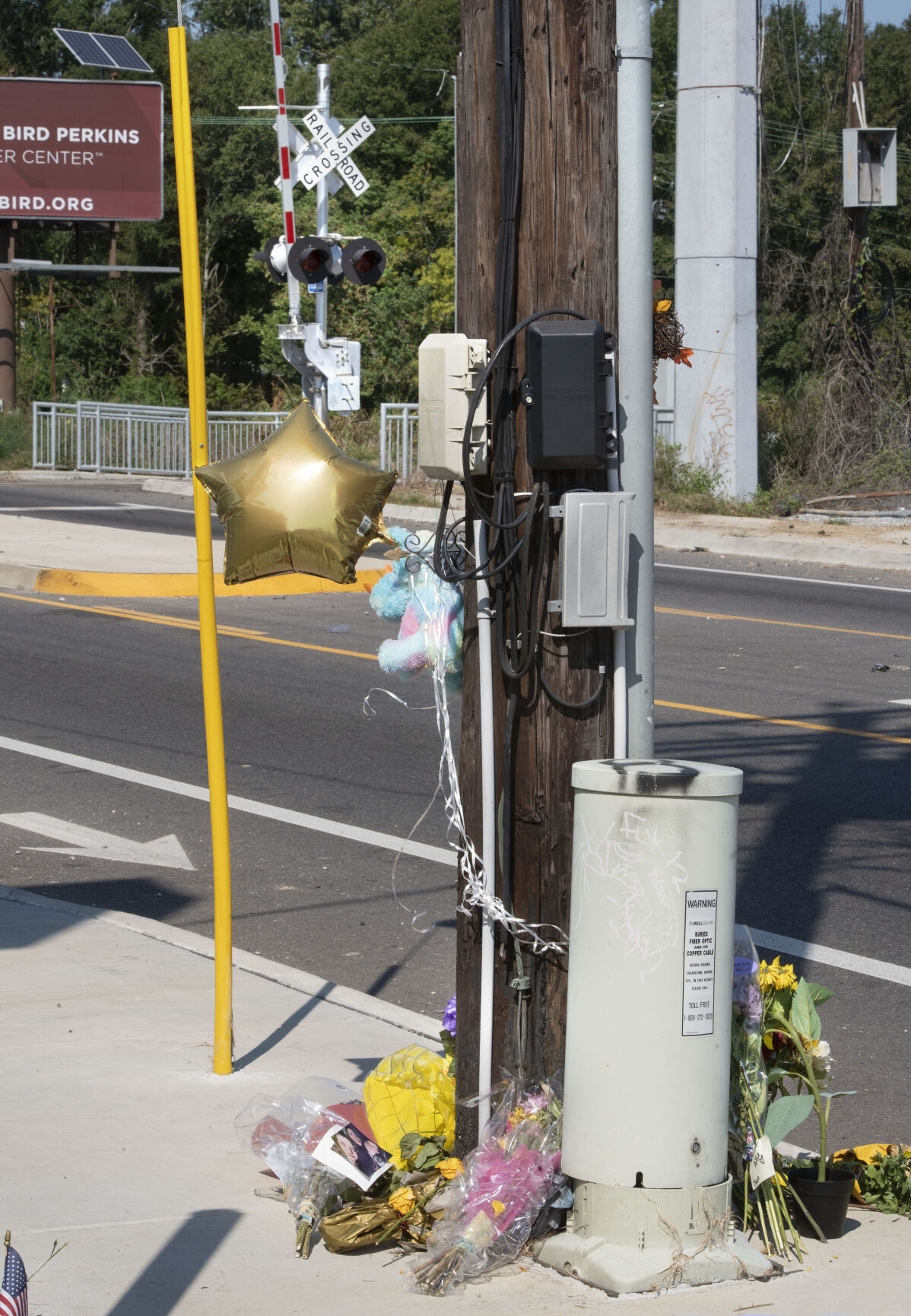 Killing of LSU senior Allison Rice was likely 'random act' as she ...