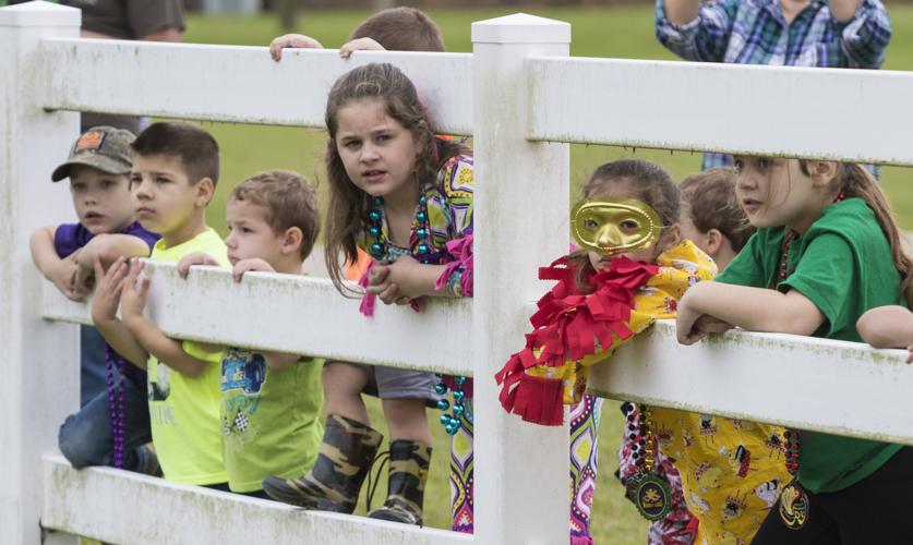 Mardi Gras, Cajun style: Chasing chickens, pigs along the byways ...