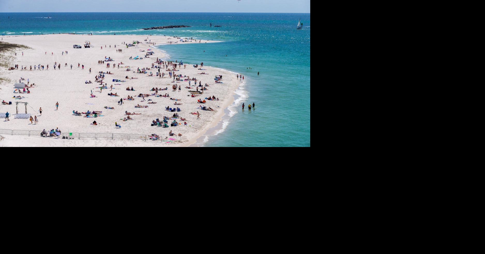 A trip to the Florida Gulf Coast reinvigorates the senses | Danny Heitman