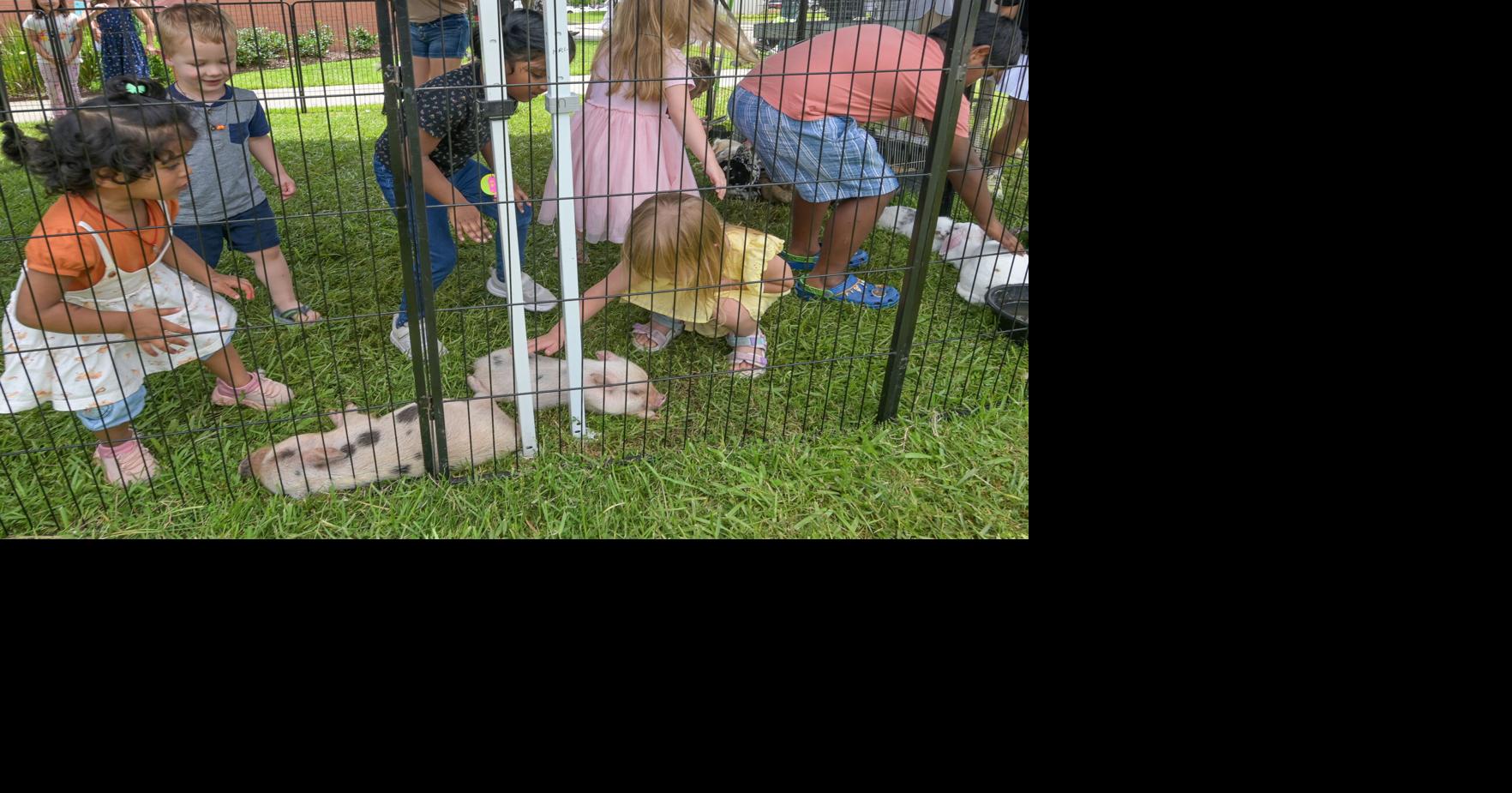 Photos:  South Lafayette Library Summer Reading celebration